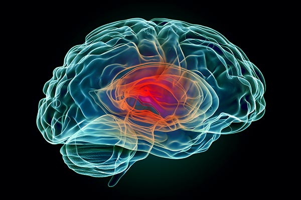 Digital rendering of the human brain
