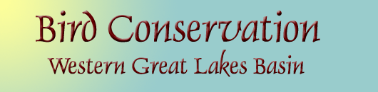 Bird Conservation Western Great Lakes Basin