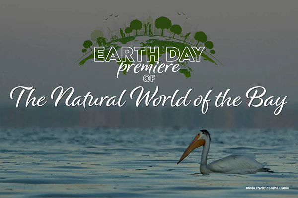 Pelican on the Bay, promoting a film premier