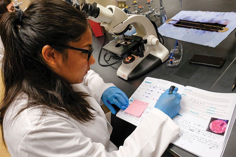 Student takes notes in Tiny Earth lab