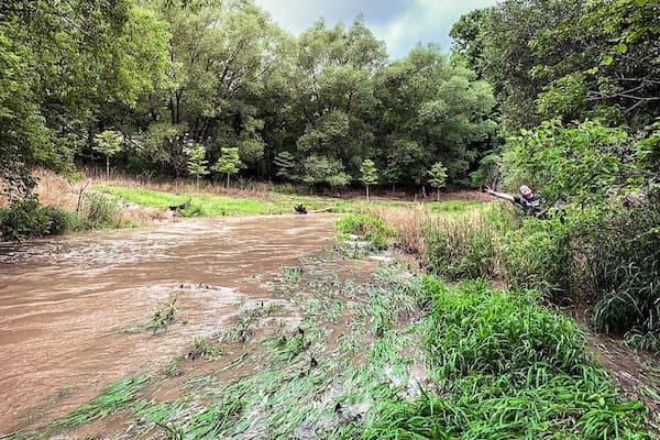 Student gives a peace sign near the creek while studying water quality