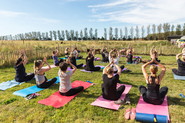 Group attends goat yoga outdoors