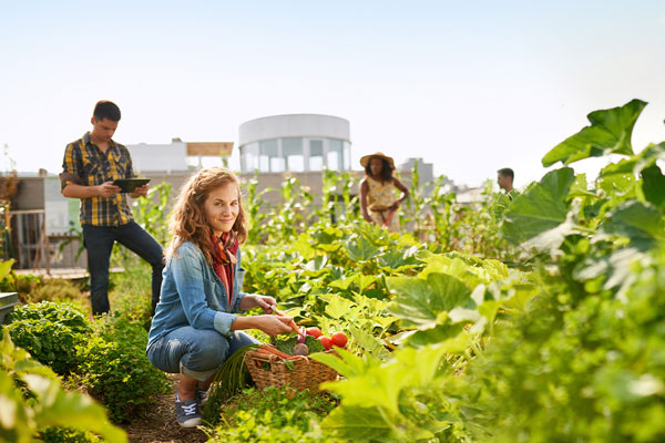 Group of people working in large garden