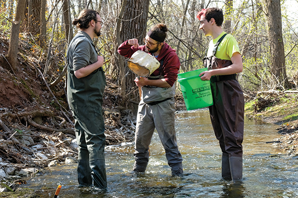 Environmental Science students doing field work in a local river