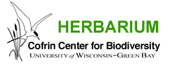 Herbarium Logo