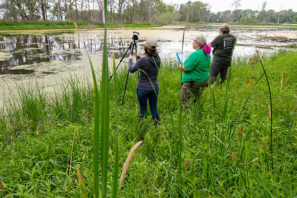 Biodiversity research at Point au Sable coastal wetland