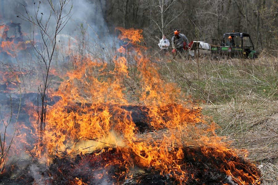 Flames of a controlled burn