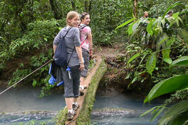 Students walking in rain forest