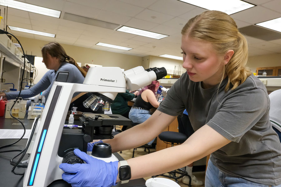 Student in microbiology lab adjusting microscope