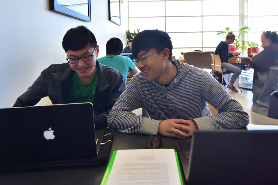 Two Hmong studies working on laptops