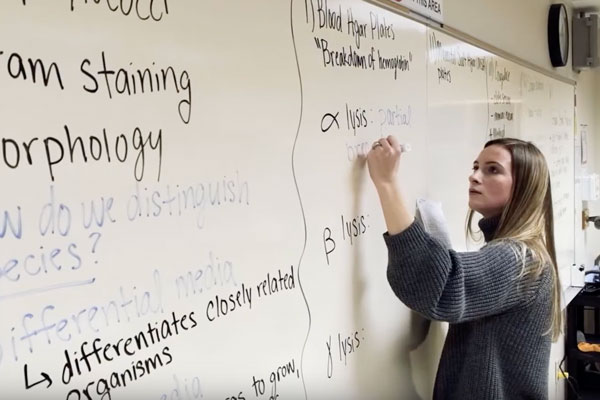 Student in class taking notes on whiteboard