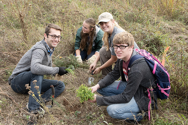 Students picking plants