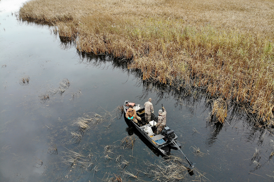 Drone view of boat on water near wild rice