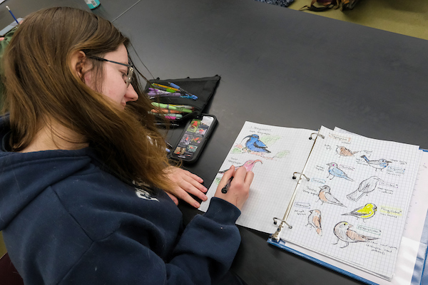 Student studying birds in ornithology lab