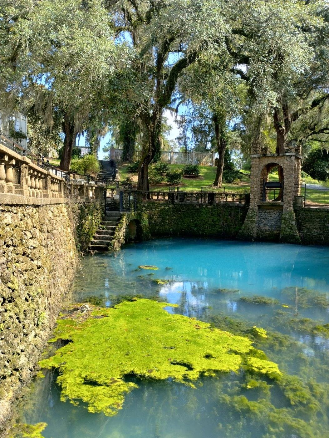 Photo of a pool of bright blue water with bright green moss surrounded by moss-covered live oaks.