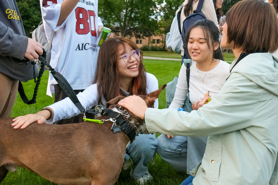 Students outside petting dog