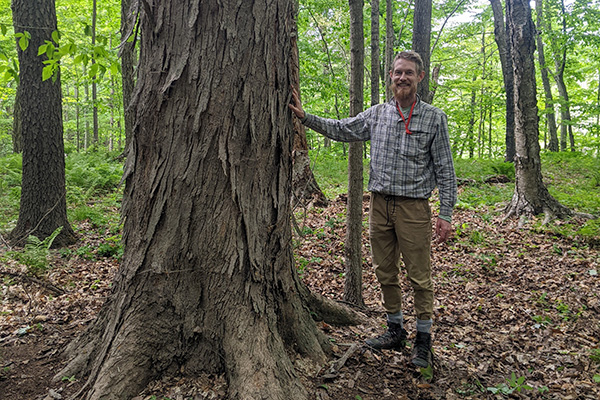 Man posing near large tree base