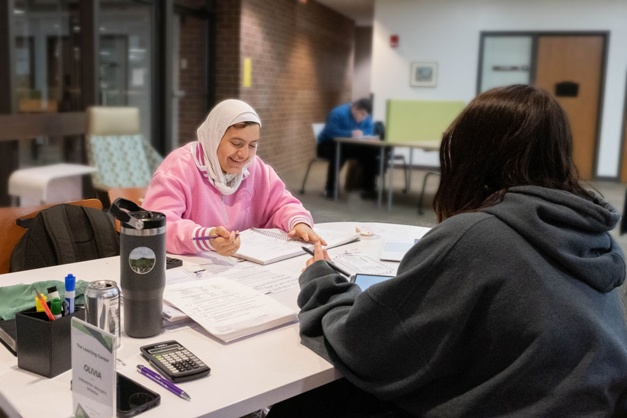 Two students studying in the learning center