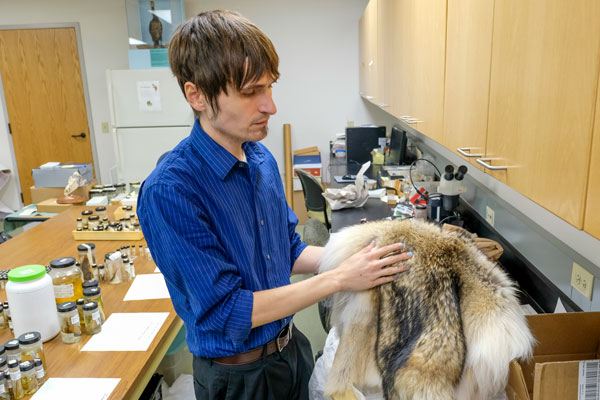 Student examing animal skin