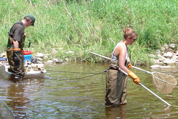 Students working in creek