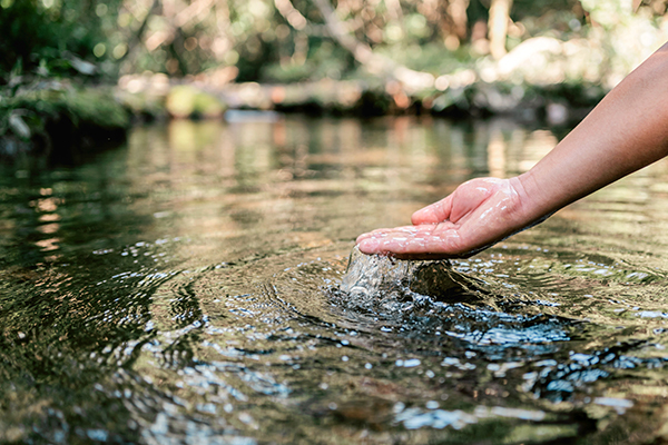 Hand scooping clean lakewater