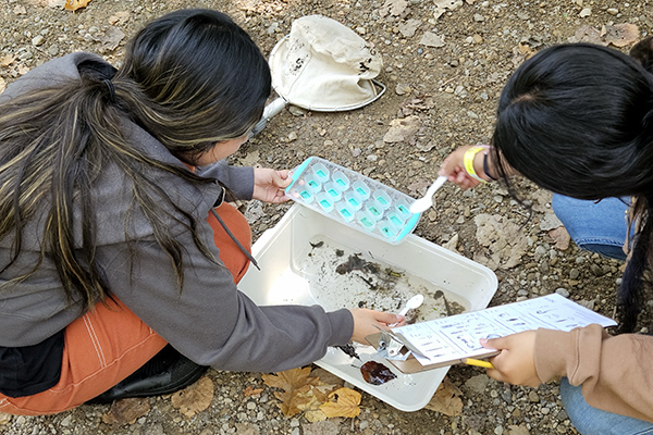 Two students gathering water data