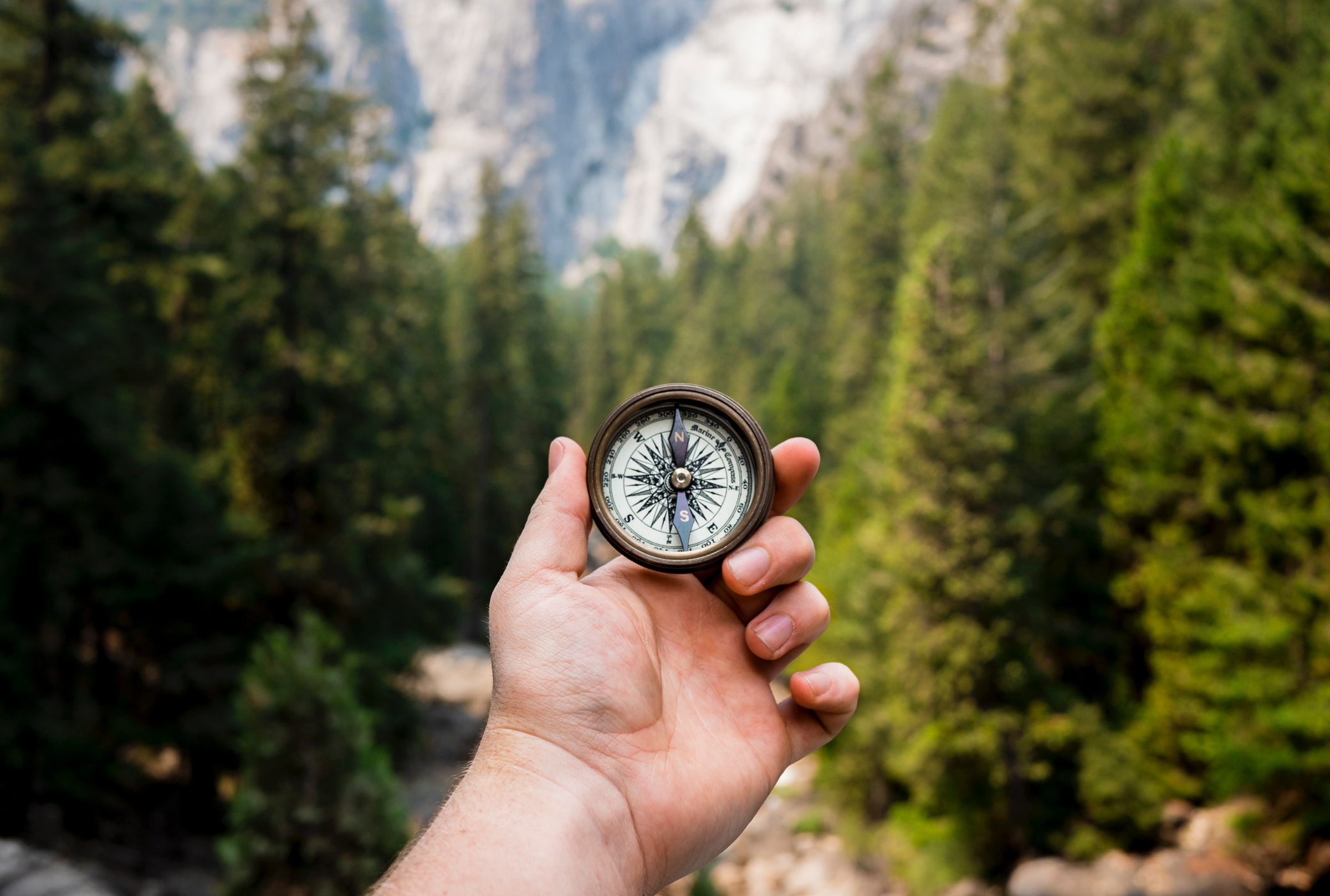 Hand holding out a compass in the woods