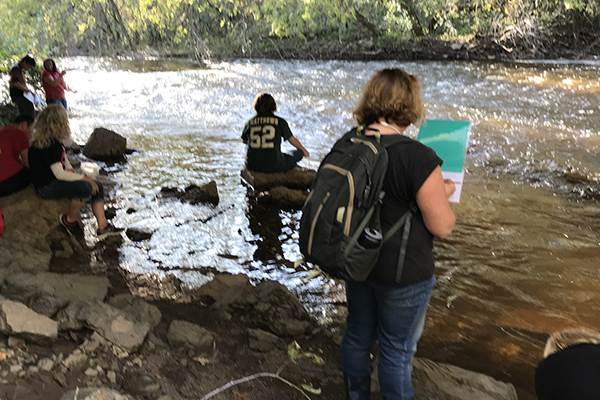 Students working at creeks edge