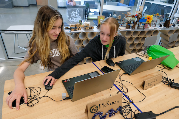 Two campers working at computer