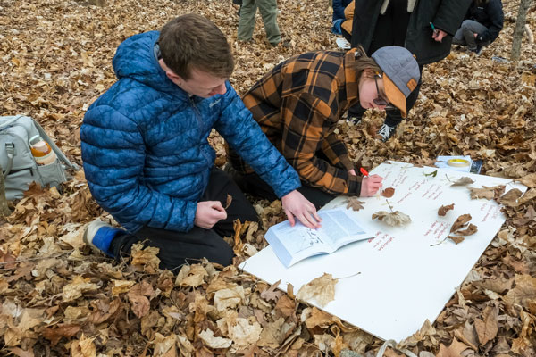 Students outdoors researching biodiversity