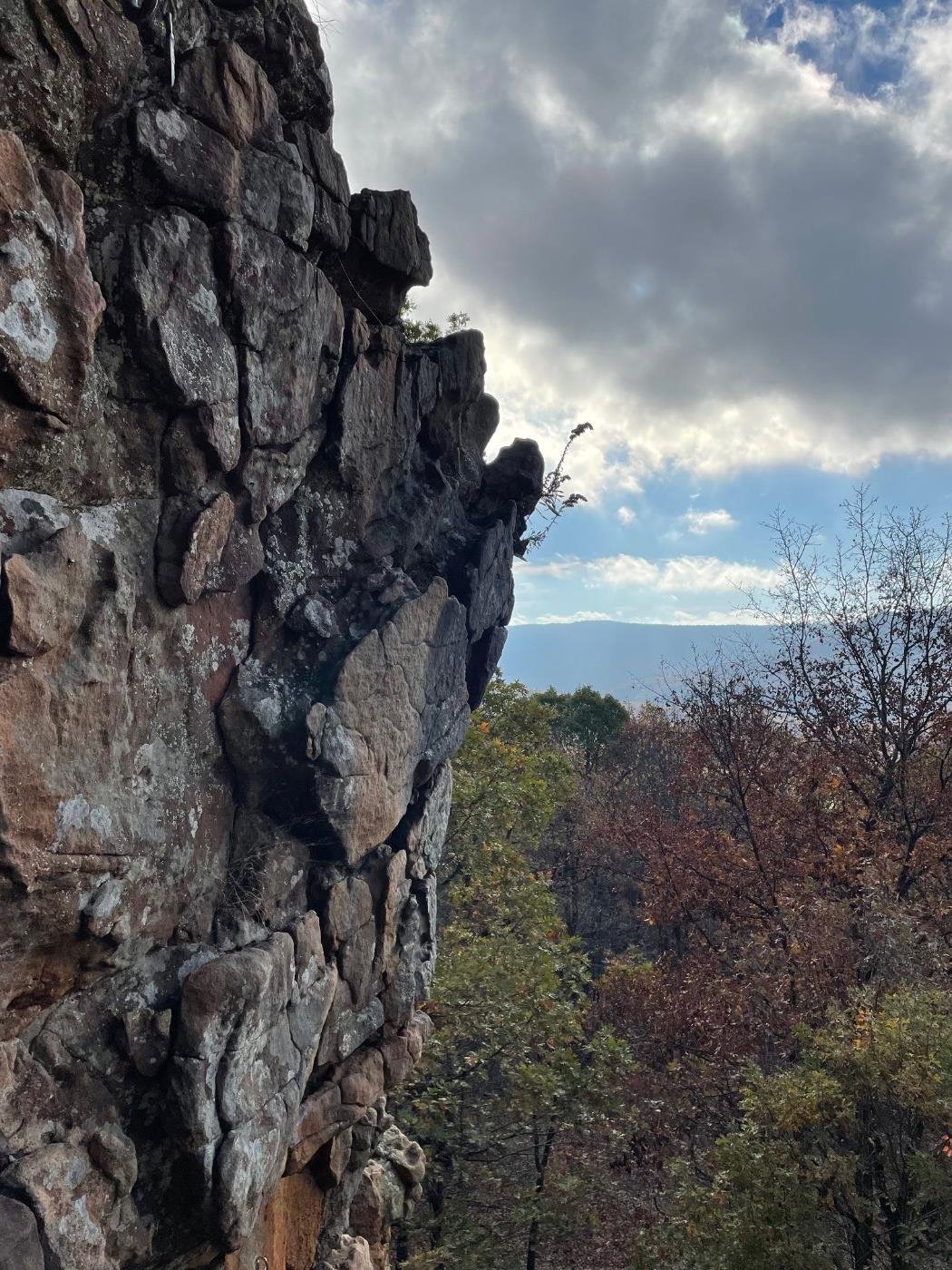 Photo of a rock-climber's view from the side of a cliff, looking down at a forest.