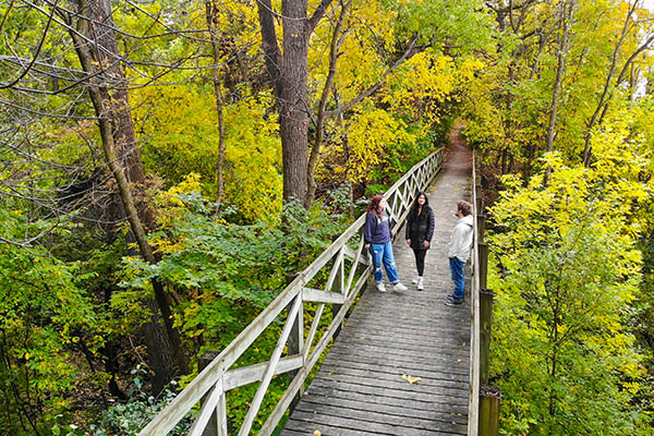 Students relaxing on bridge in Cofrin Arboretum