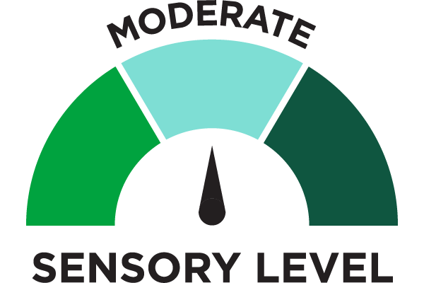 moderate sensory level icon