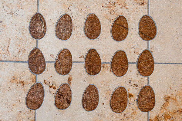 Egg shaped tiles inlaid on tile floor