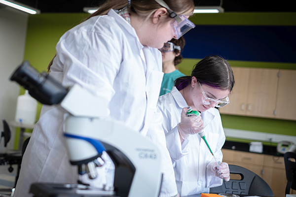 Several students working in science lab