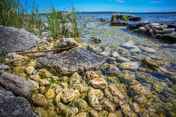 Rocky shoreline of Toft Point