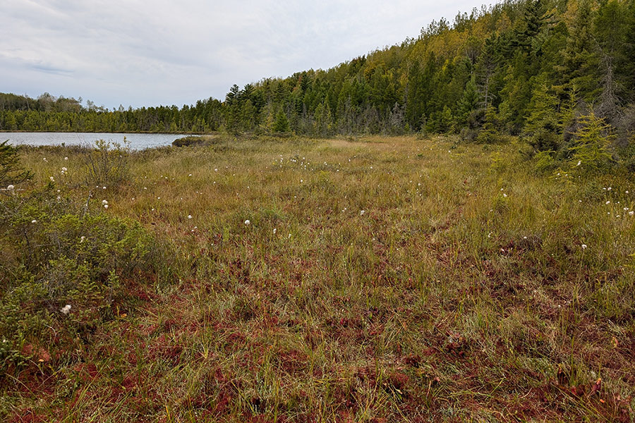 Glocke Lake State Natural Area