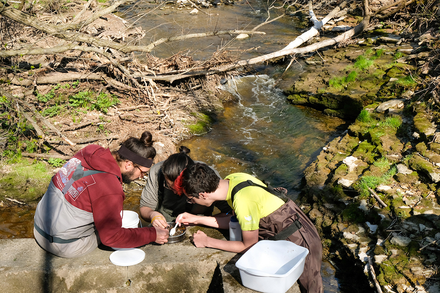 Students testing water near creek