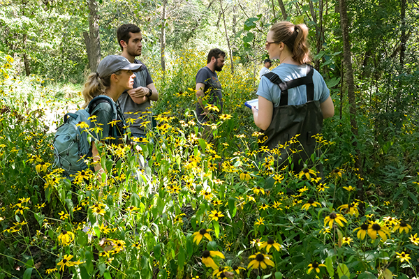 Student researchers in wildflowers