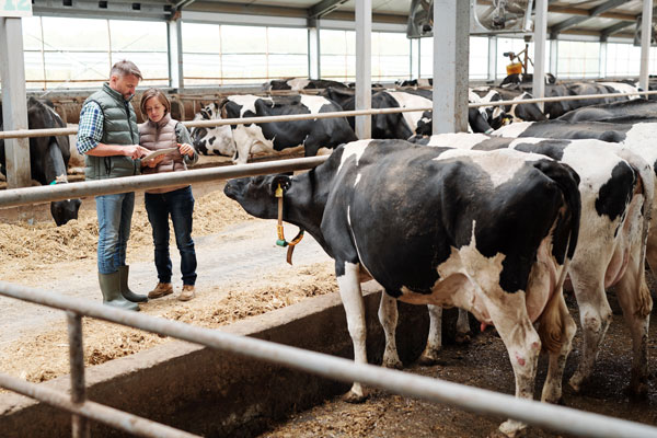 Farmers' Mental Health