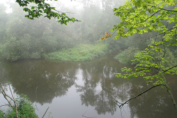 Creek at Kingfisher Farm