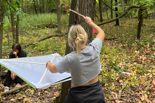 Student studying trees