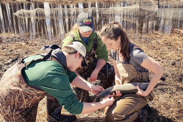 Students studying fish in river