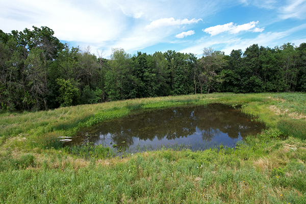 Small wetland pond