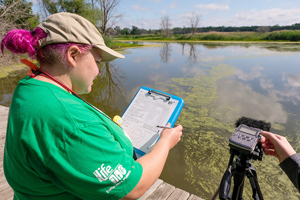 Coastal wetland surveyor