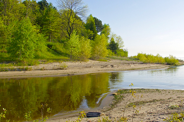 Mouth of stream at Kingfisher