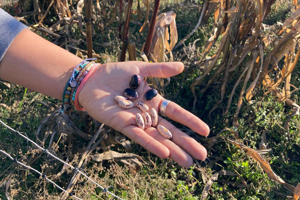 Student holding beans 