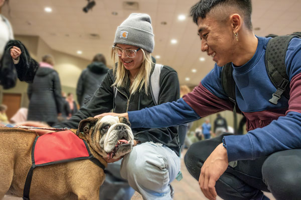 Students pet dog at Pause for Paws event