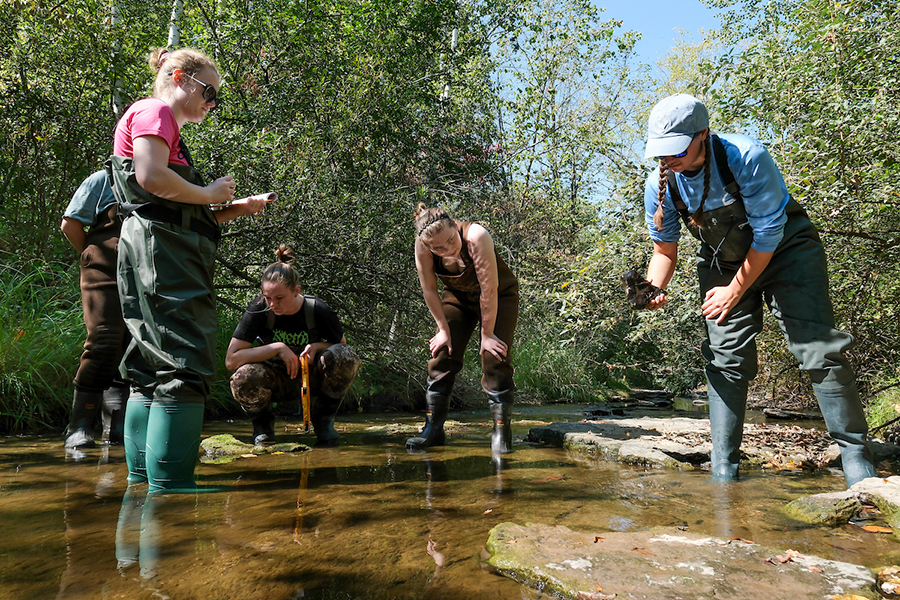 Research students working in stream