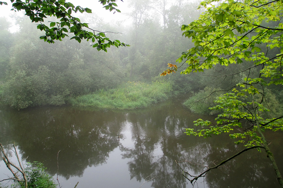 Creek at Kingfisher Farm